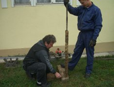 The raised soil sample